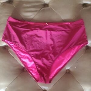 Womens Burgundy Cran  Bikini Bottoms Size 2X